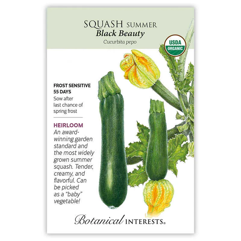 Black Beauty Summer Squash Seeds