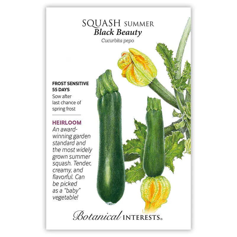 Black Beauty Summer Squash Seeds