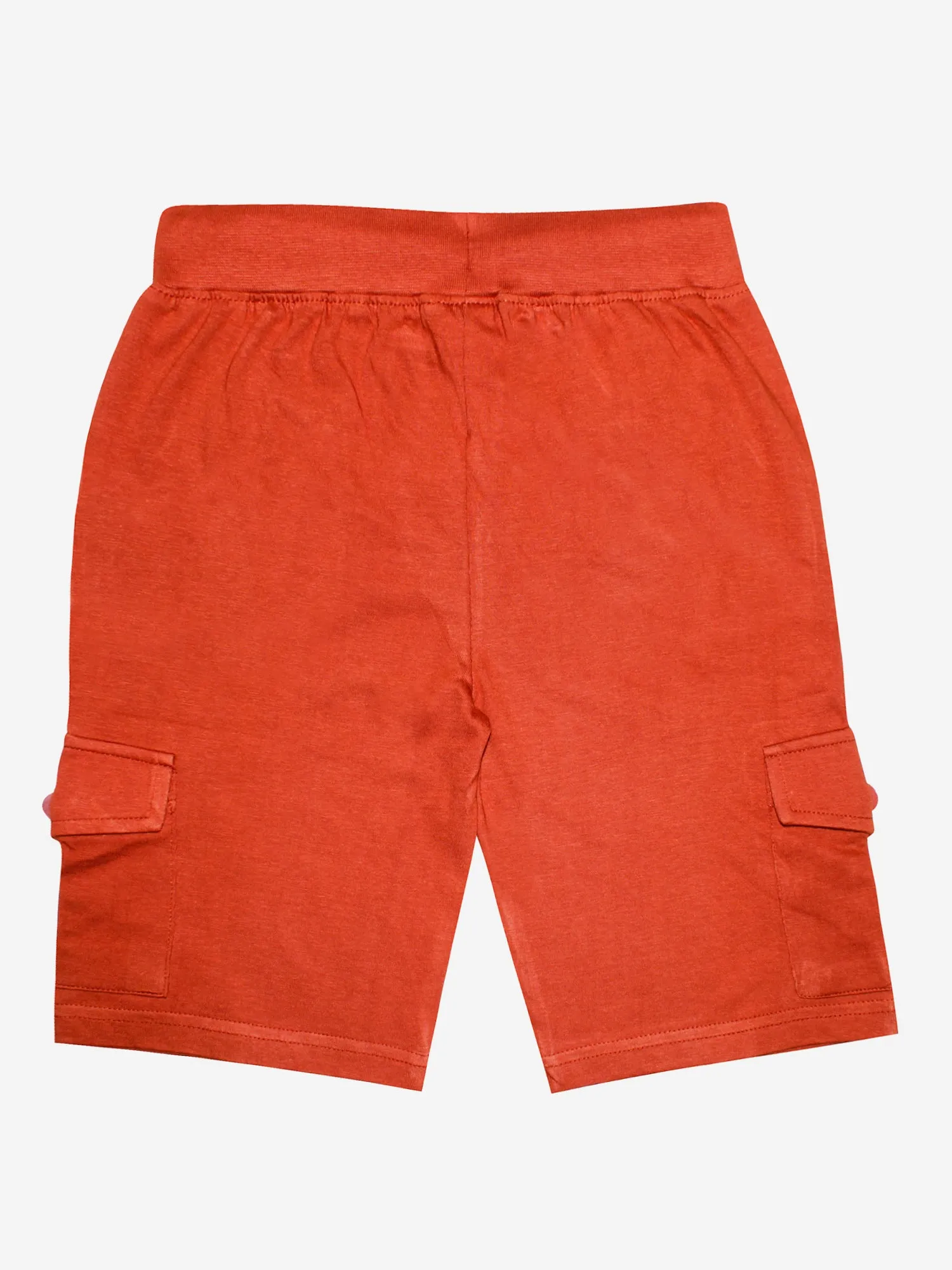 Boys Round Neck Half Sleeve Tee & Knit Cargo Short Set