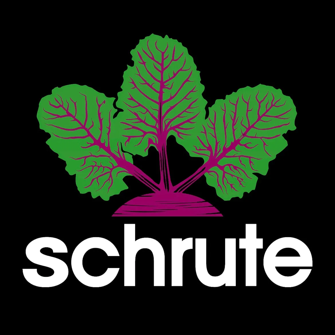 Schrute Logo - Unisex Hoodie