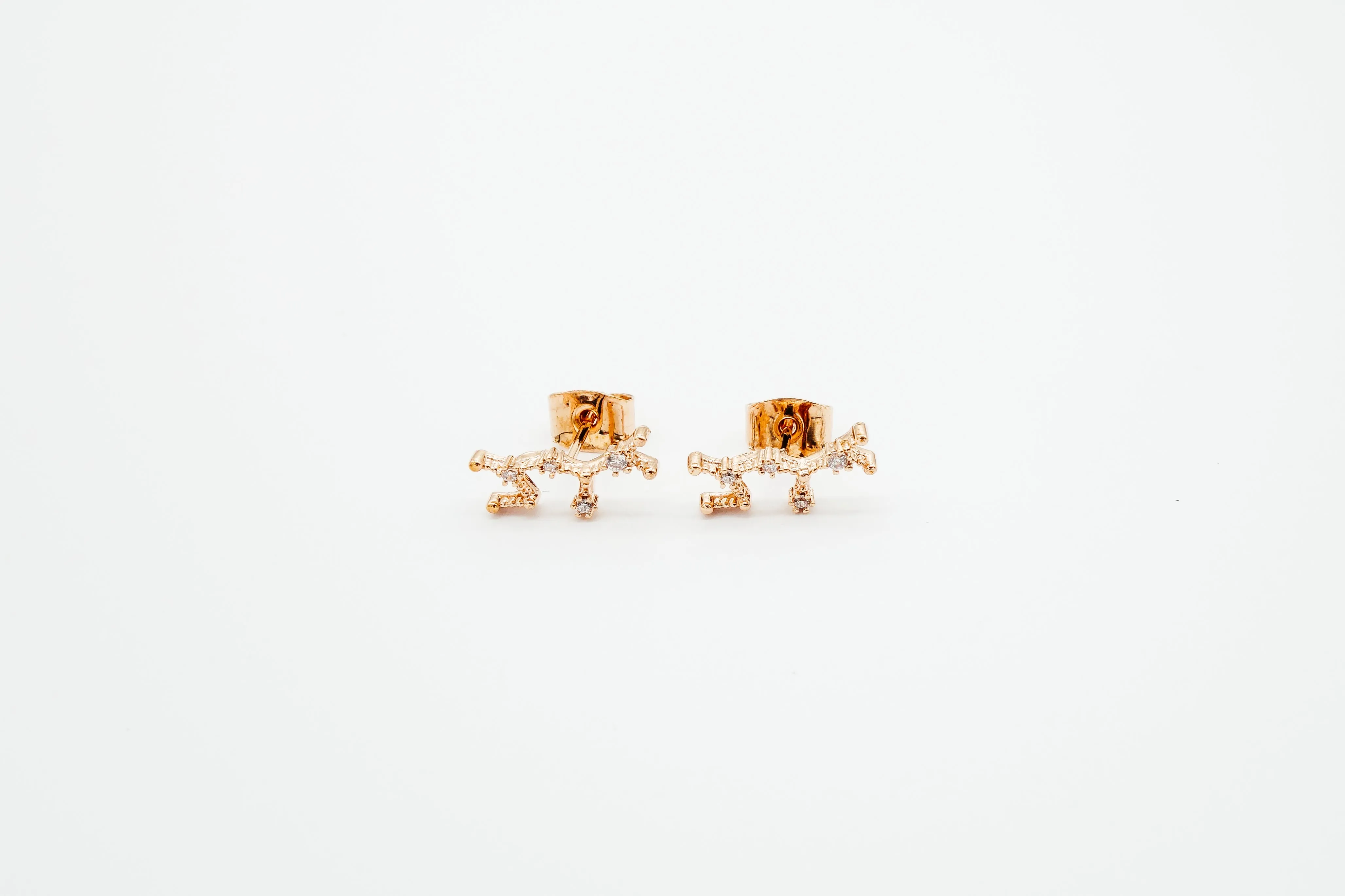 Zodiac Earrings Rosegold (Summer Sale)