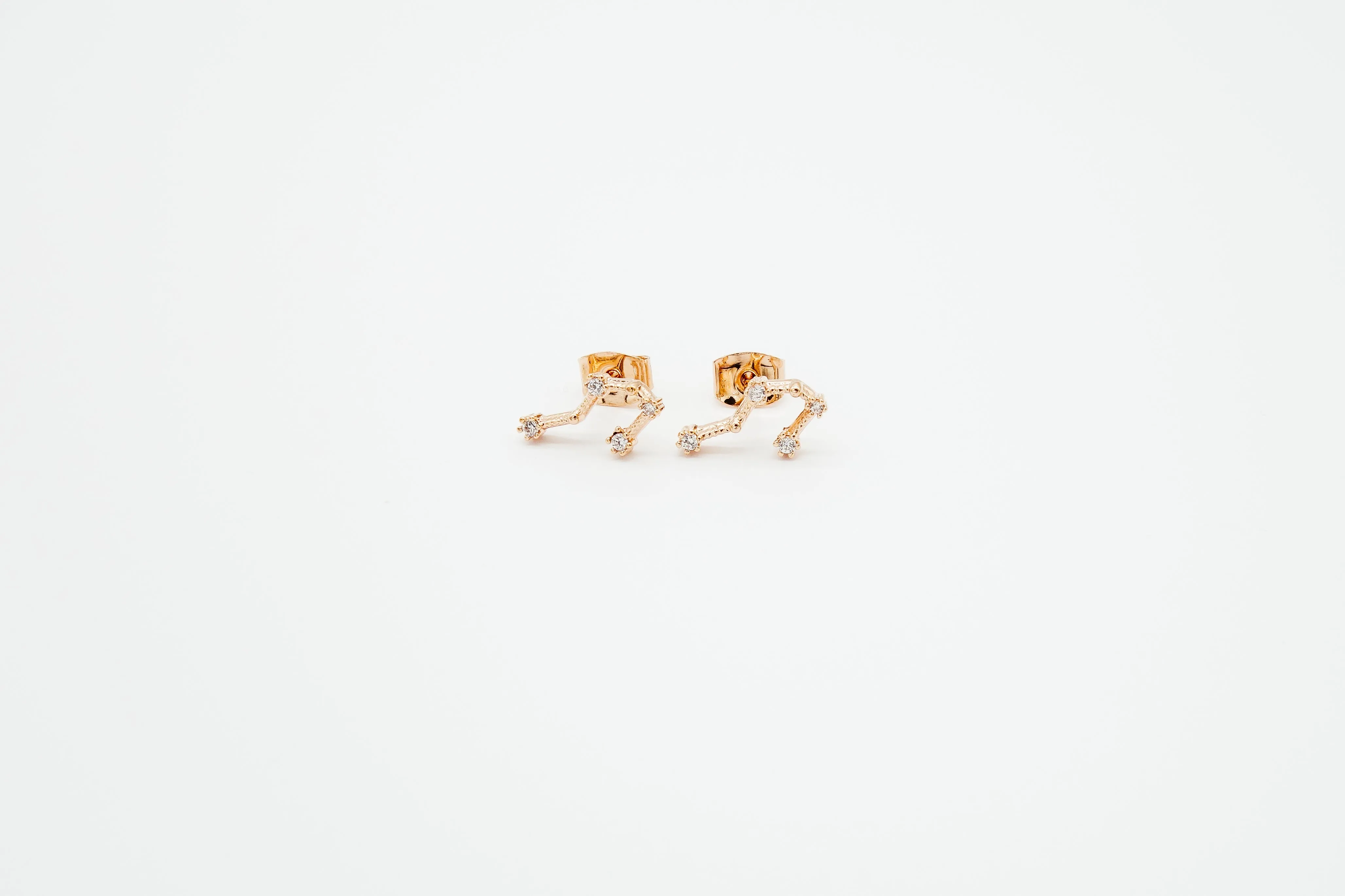 Zodiac Earrings Rosegold (Summer Sale)