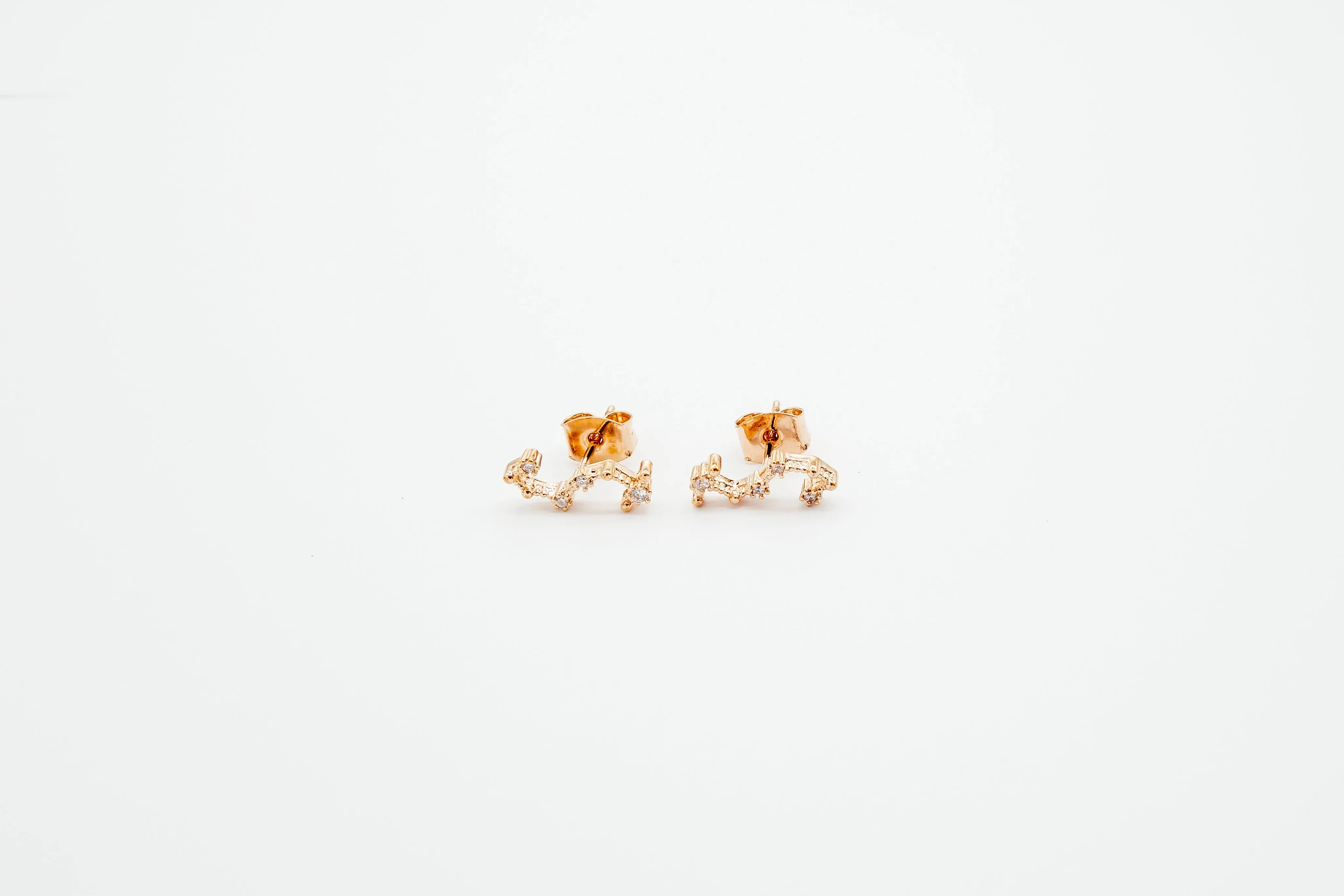 Zodiac Earrings Rosegold (Summer Sale)