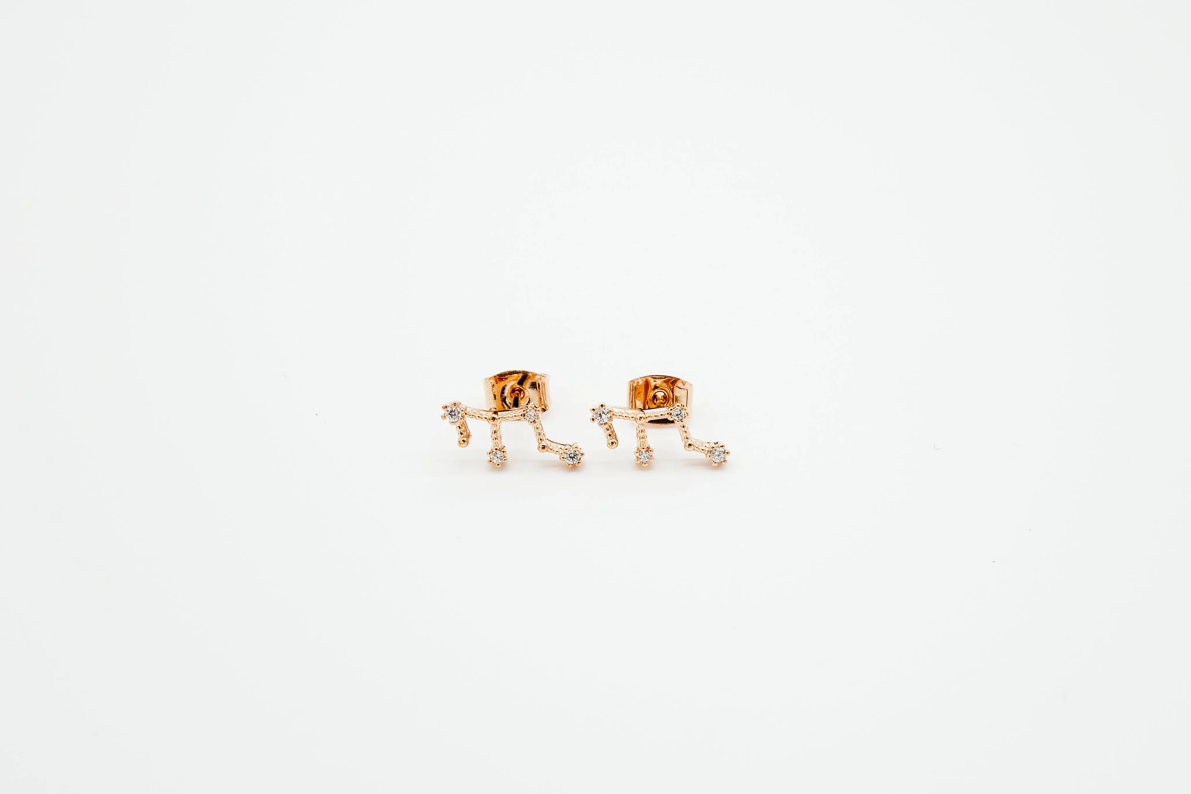 Zodiac Earrings Rosegold (Summer Sale)