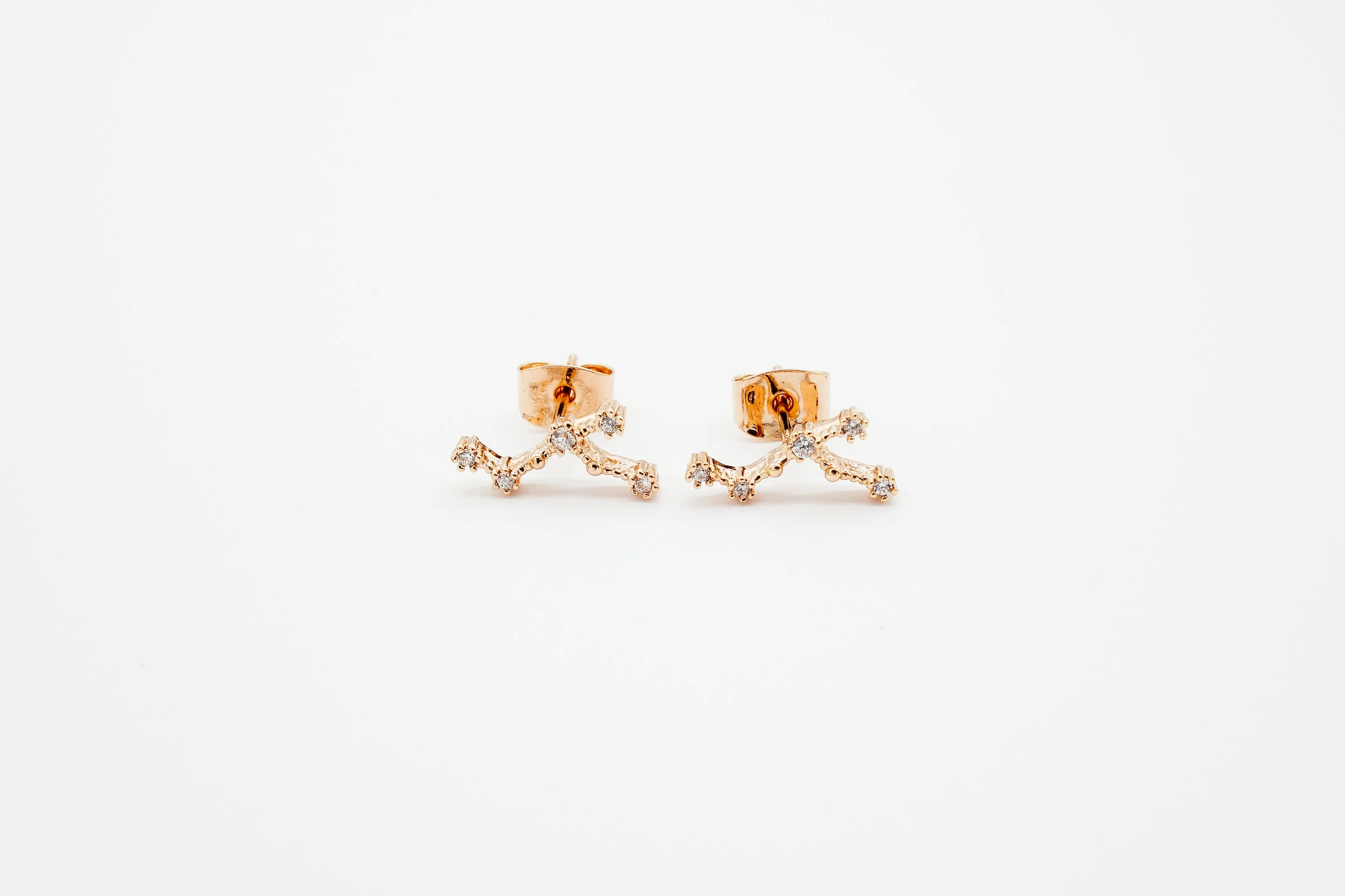 Zodiac Earrings Rosegold (Summer Sale)