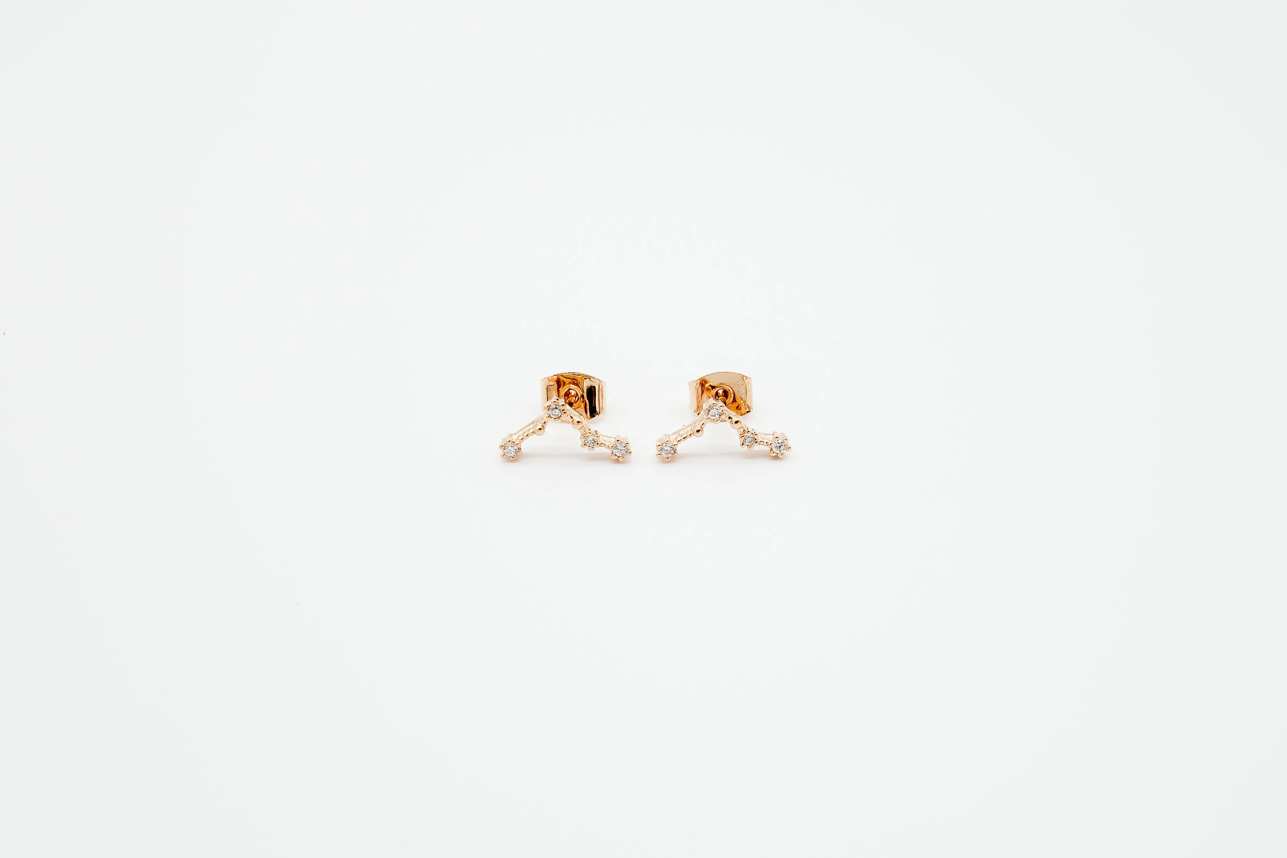 Zodiac Earrings Rosegold (Summer Sale)